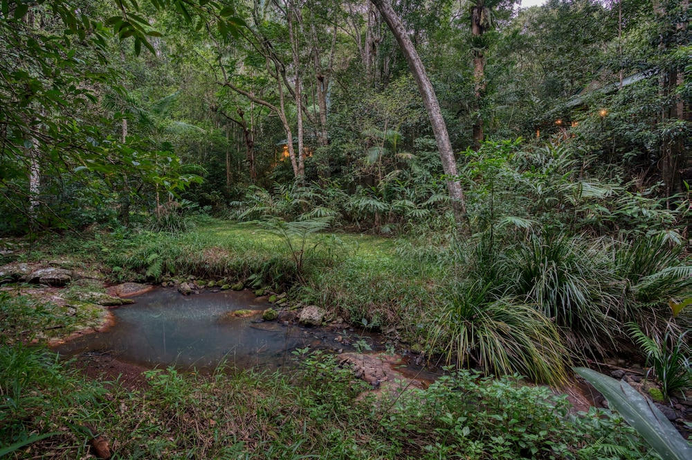 NARROWS ESCAPE RAINFOREST RETREAT 32/50