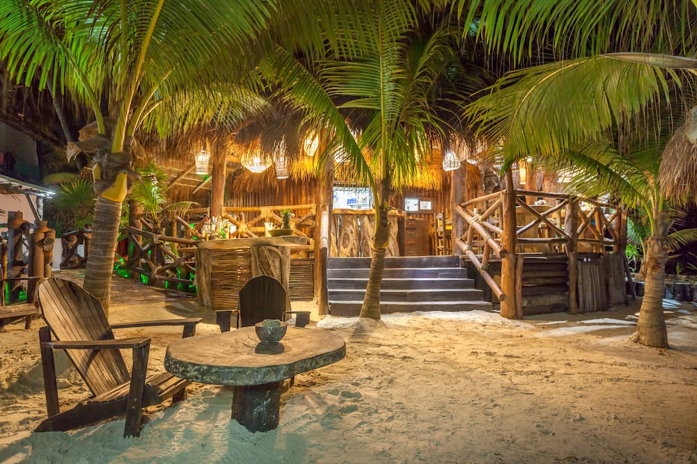 Beachfront Hotel La Palapa - Adults Only 31/36