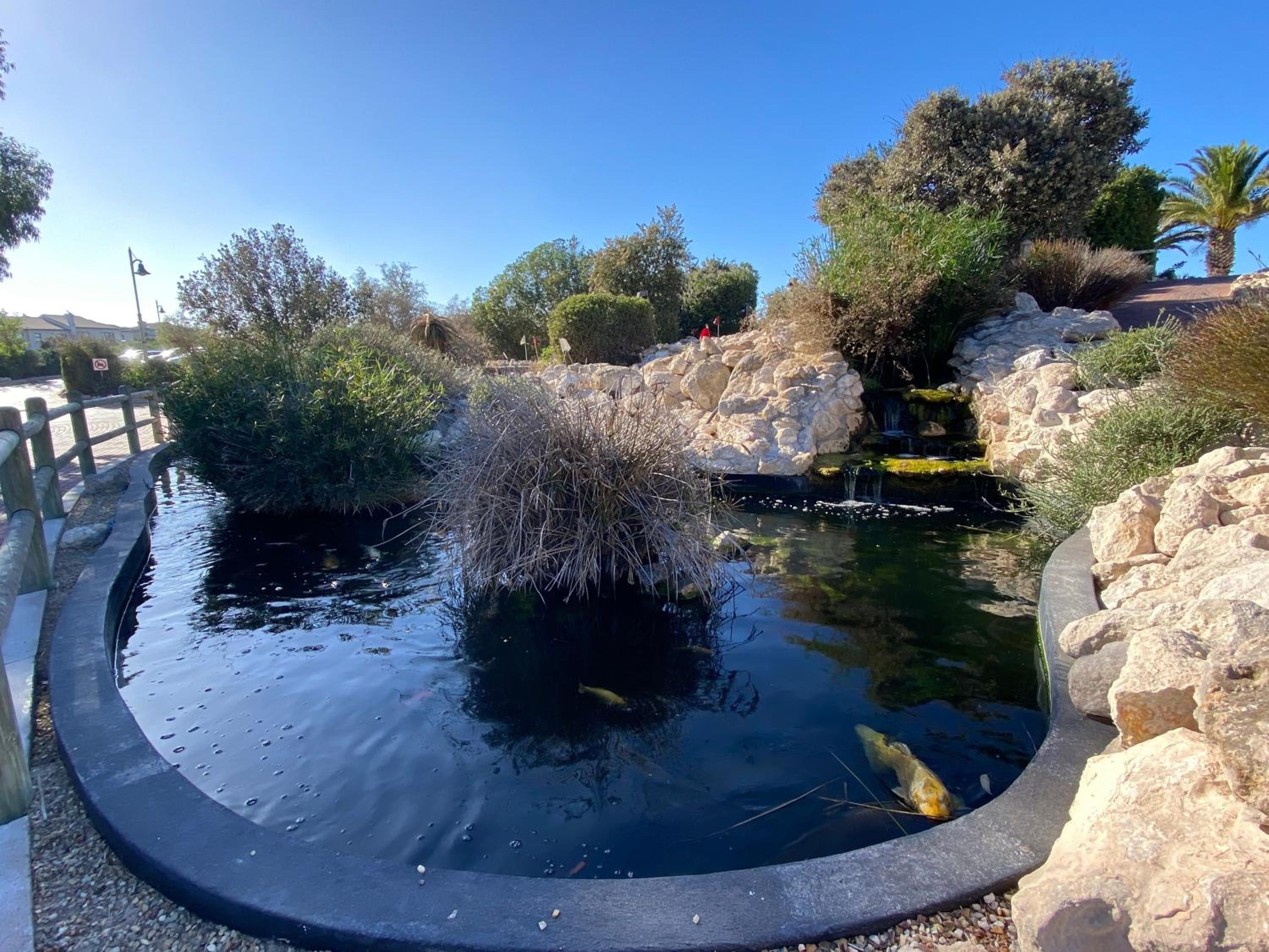 Santa Maria-Langebaan Country Estate 46/50