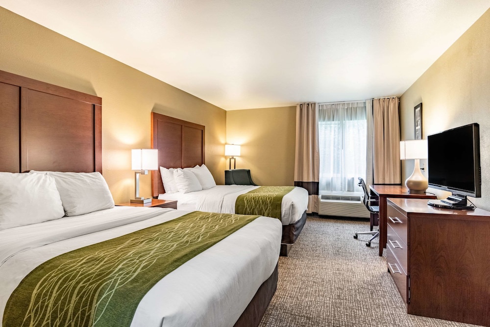 Comfort Inn Suites Tuscumbia Muscle Shoals 10/45
