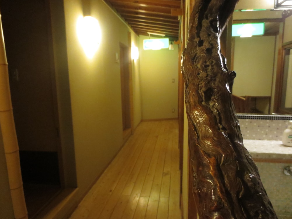 Historical Ryokan Hostel K's House Ito Onsen - Hostel 22/50