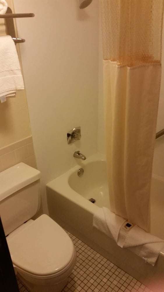 AmericInn by Wyndham Forest Lake 10/25
