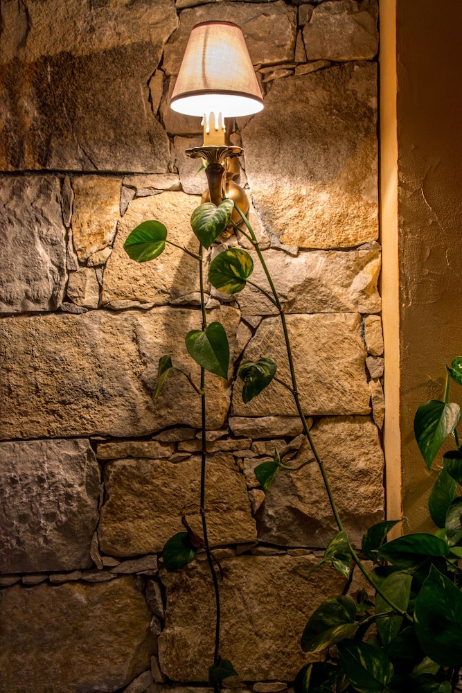 HÔTEL LES CRÊTES BLANCHES酒店(HÔTEL LES CRÊTES BLANCHES) 图片5