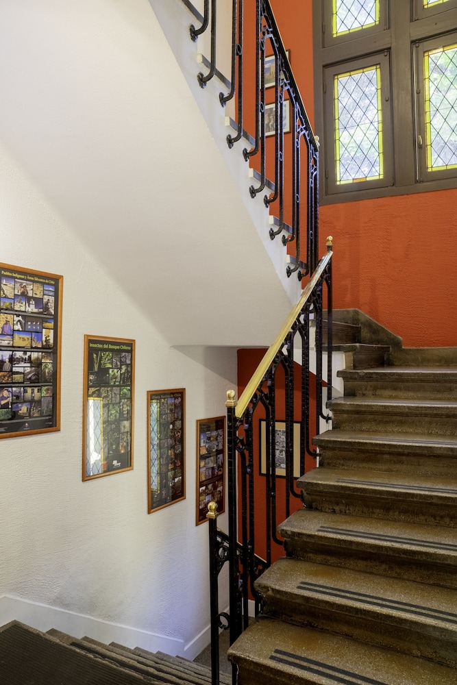 Hostal Rio Amazonas酒店(Hostal Rio Amazonas) 图片2