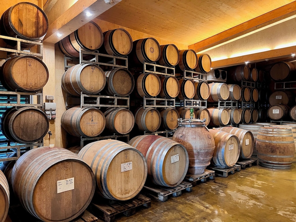 Valdonica Winery & Vineyard Residence 20/50