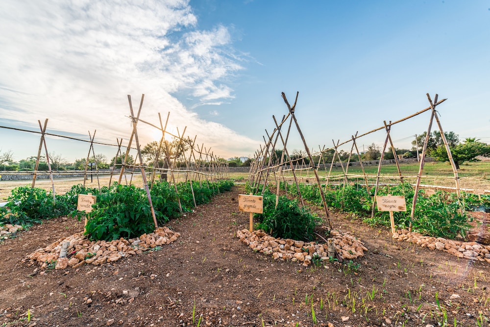 AGROTURISMO SON TOMASET 46/53