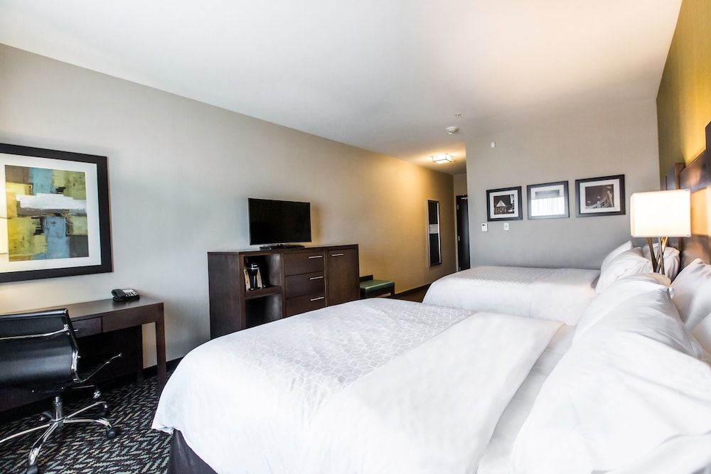 Holiday Inn Express & Suites Spruce Grove - Stony Plain 18/68