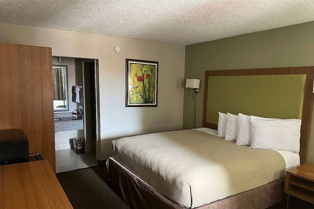 Efficiency, Suite, King Bed
