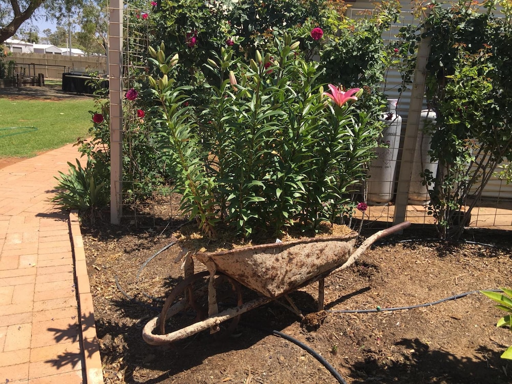 Club Boutique Hotel Cunnamulla 38/50