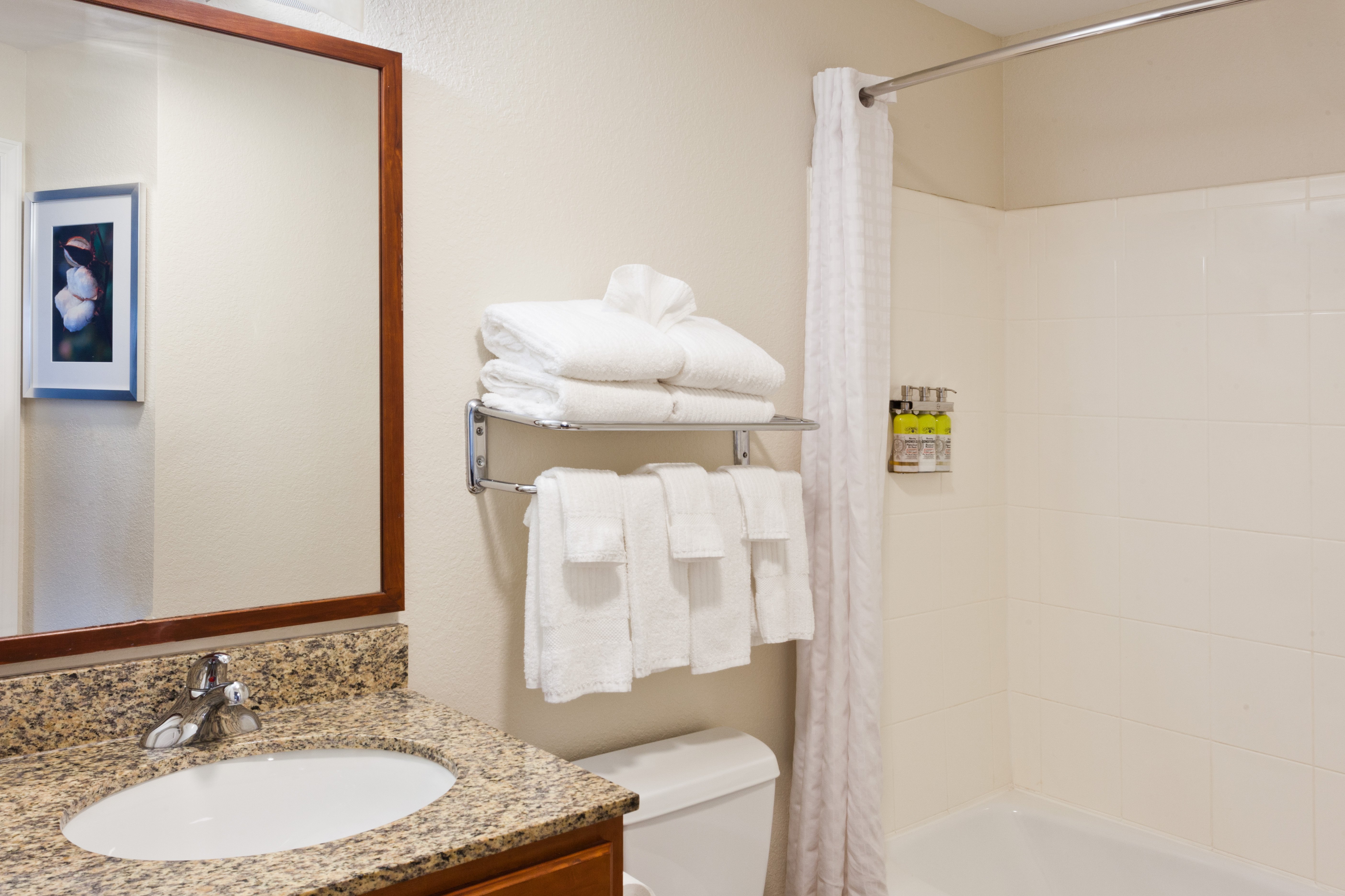 Candlewood Suites Eastchase Park Ex Candlewood Suites Montgomery North 63/69