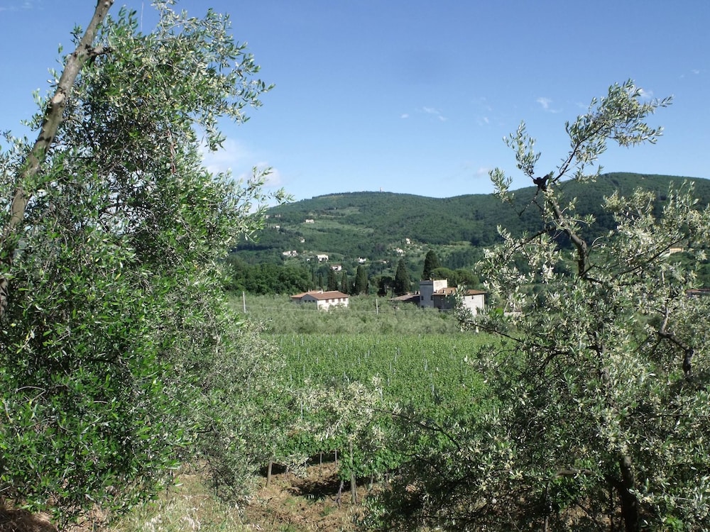 Il Viaio 23/39