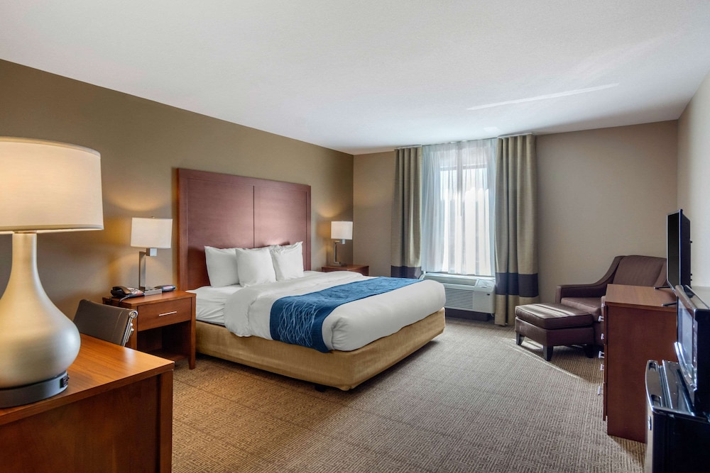 Comfort Inn Comfort Inn South Chesterfield - Colonial Heights 17/37