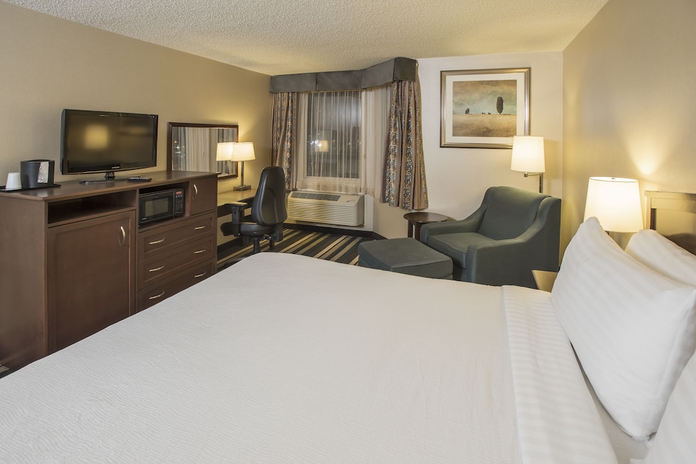 Holiday Inn Conference Ctr Edmonton South 18/72