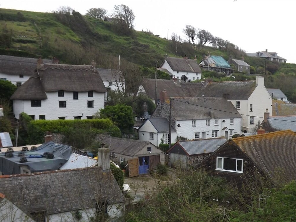 Cadgwith Cove Inn 42/50