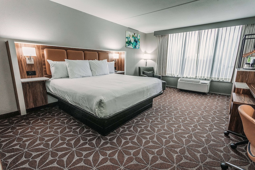 Room, King Bed