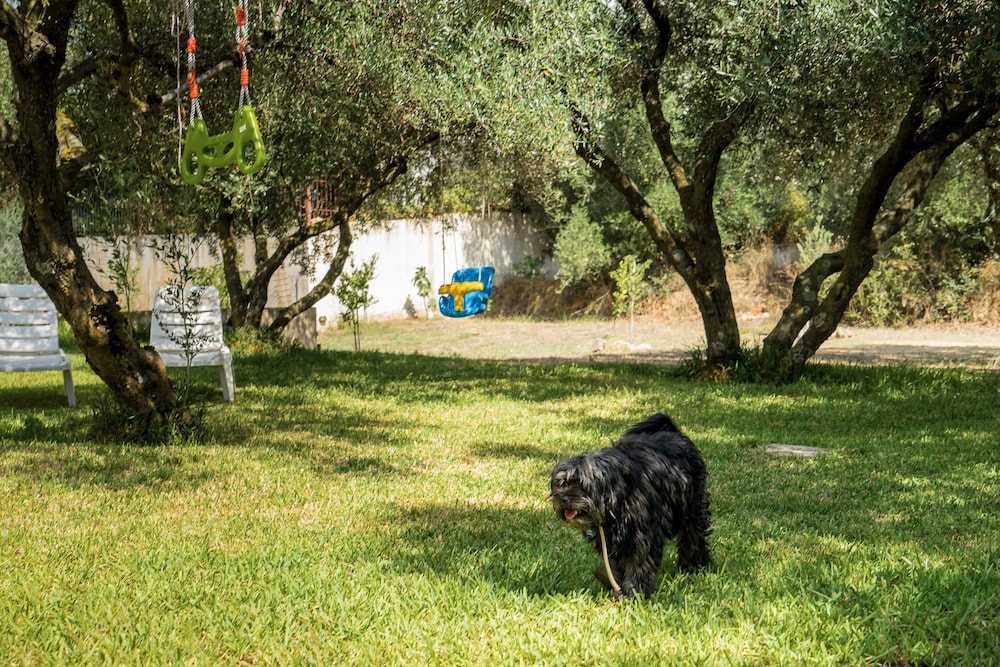 Koxyli Village Studios &amp; Apartments 44/50