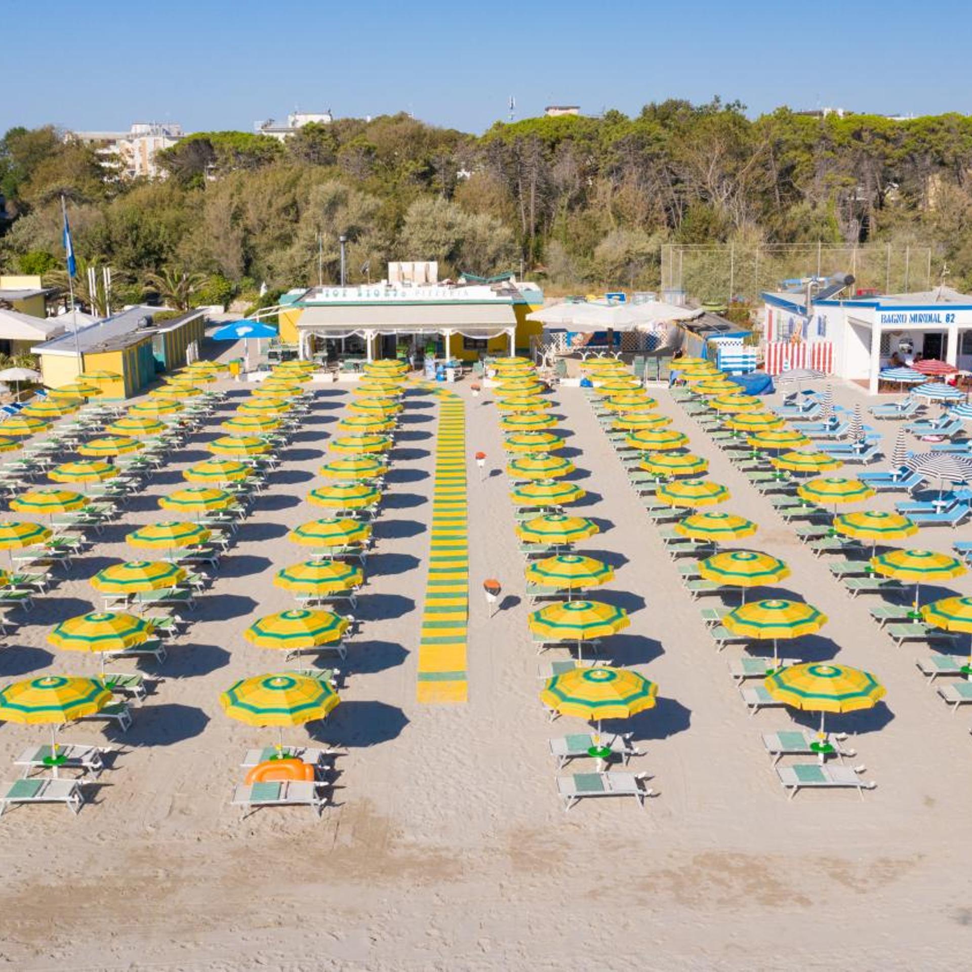 Pineta Sul Mare 1/17