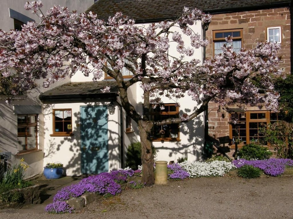Lea House Bed and Breakfast 1/56