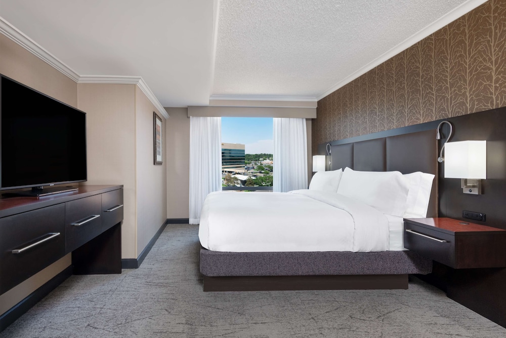 STUDIO, SUITE, KING BED
