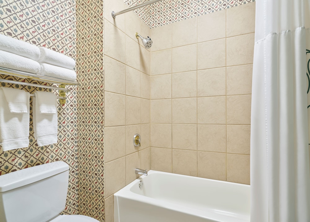 SUITE, MULTIPLE BEDS, ACCESSIBLE