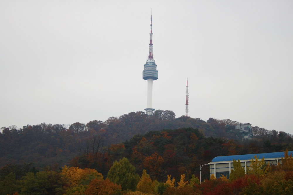 Sejong Hotel 75/78