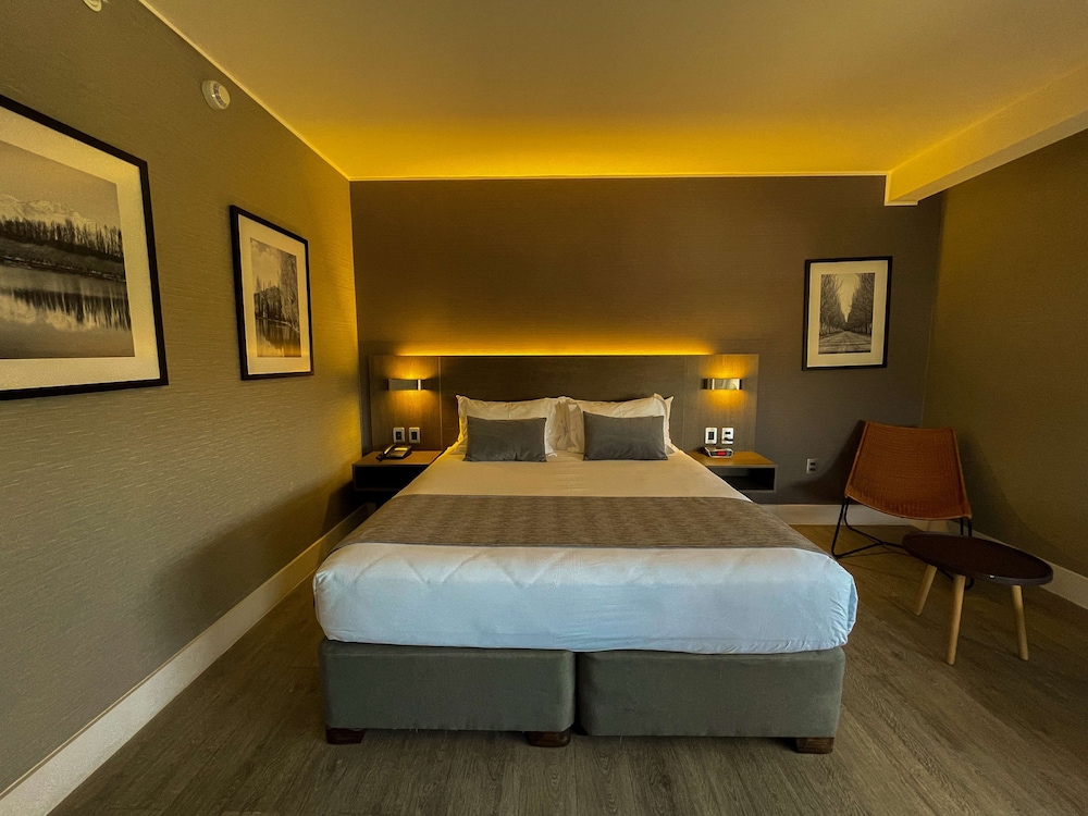 Radisson Hotel Curico 6/28
