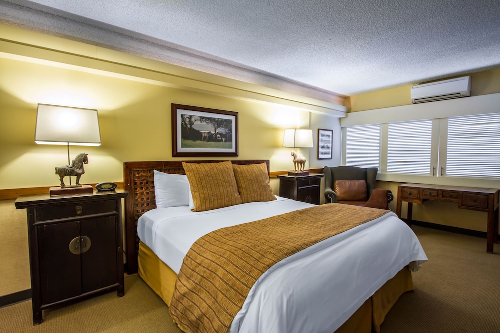 EXECUTIVE, KING BED, CITY VIEW