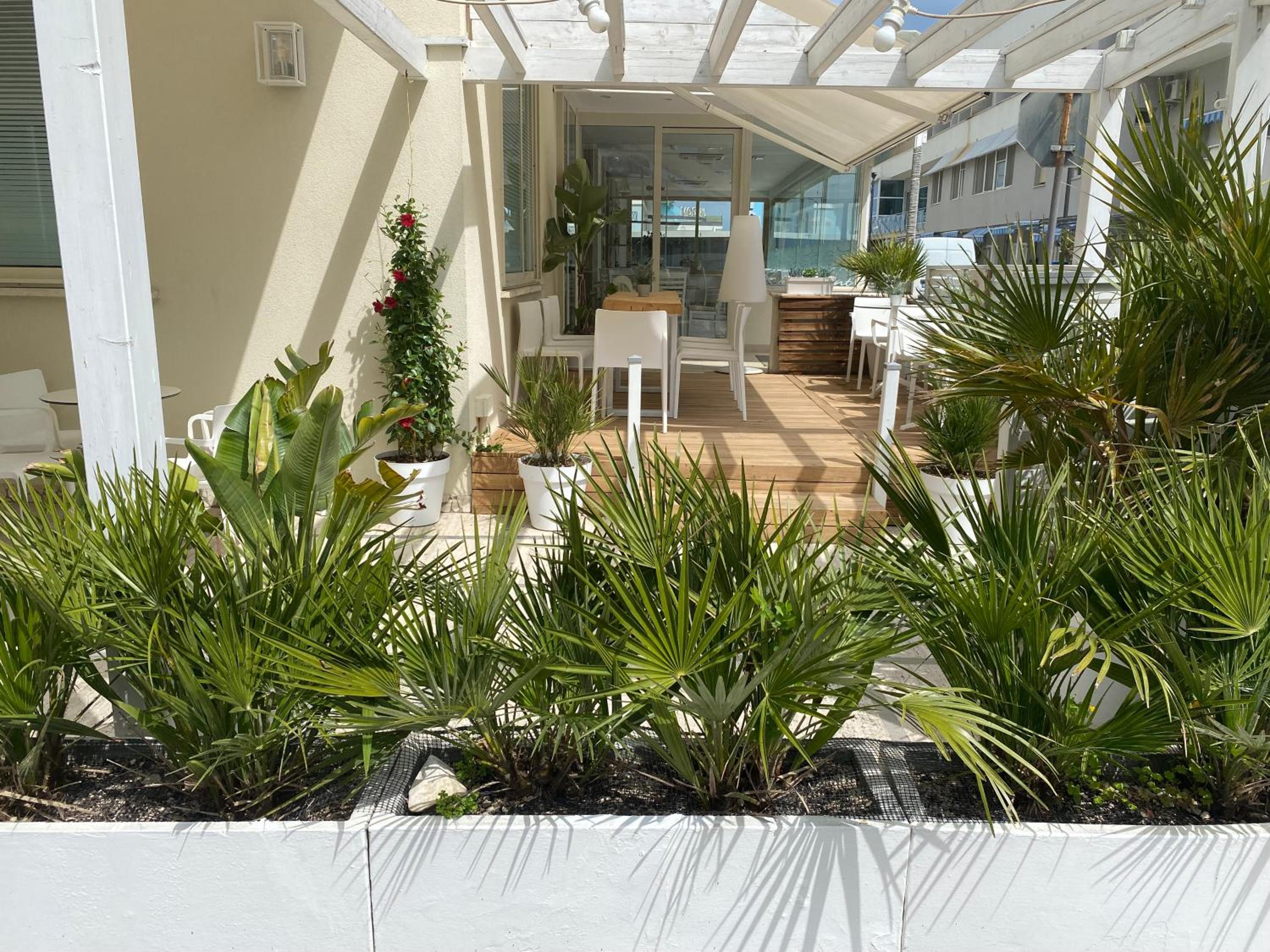 Hotel Gambrinus Mare 5/50