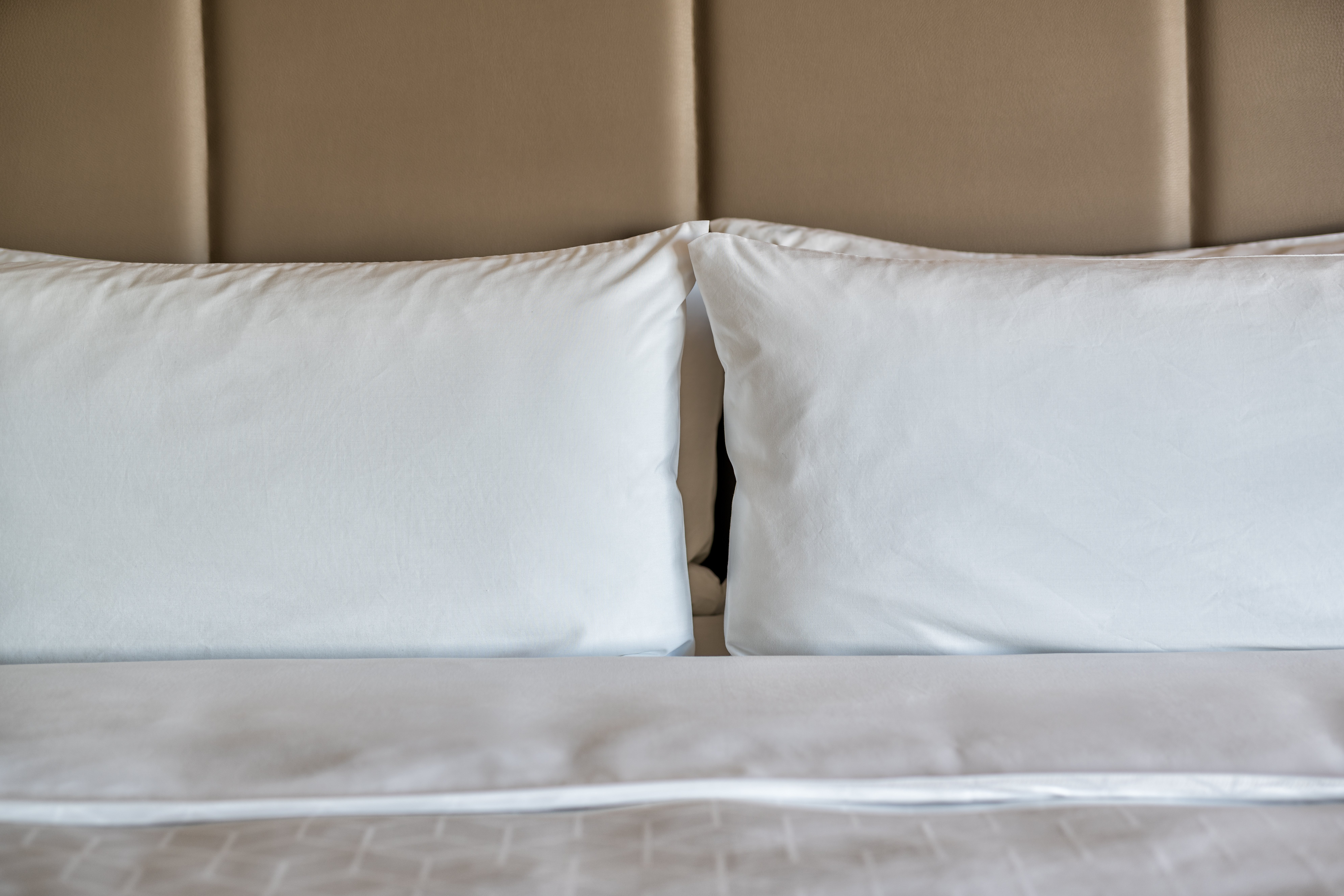 Holiday Inn Express And Suites Brandon 30/74