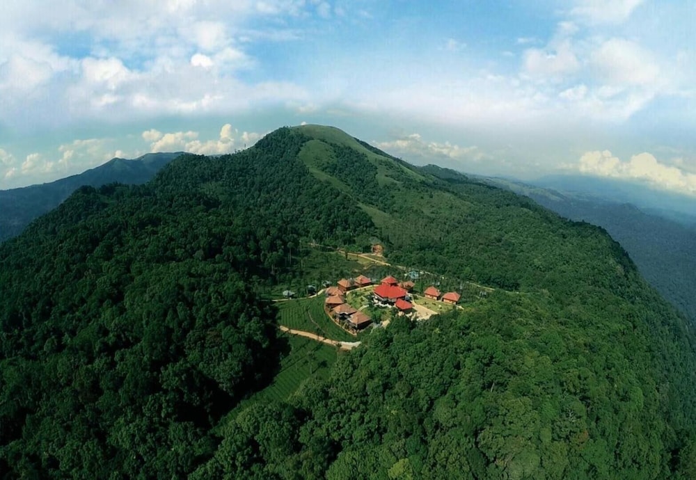 Wild Planet Jungle Resort 32/50