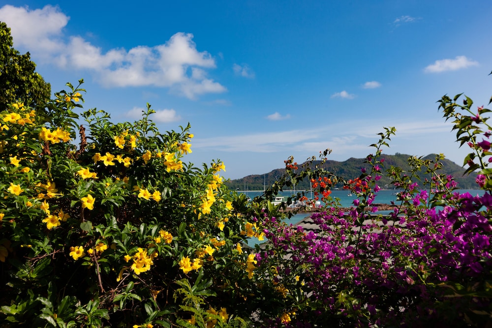 COLIBRI GUEST HOUSE(M) 48/54