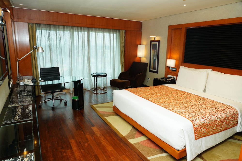 EXECUTIVE, TERRACE