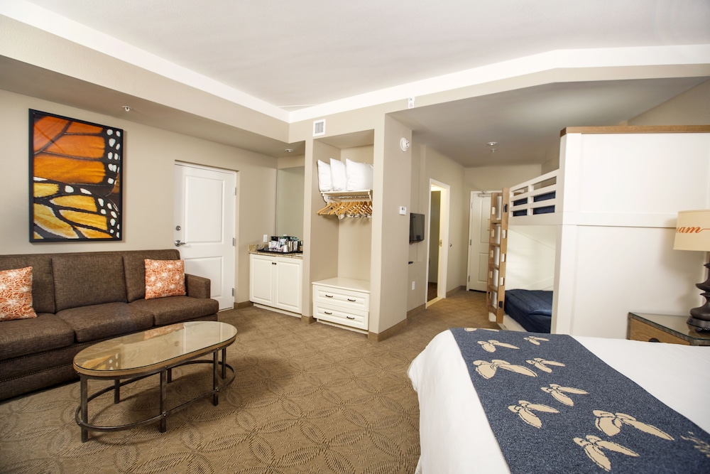 Dollywood S Dreammore Resort And Spa 40/71