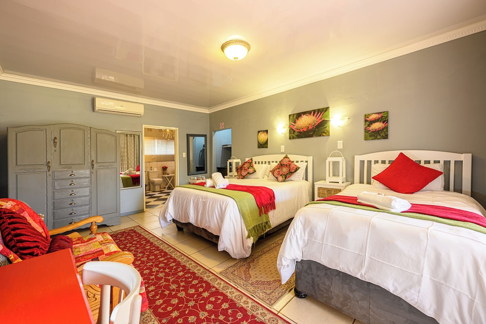 Graceland Guesthouse 14/50