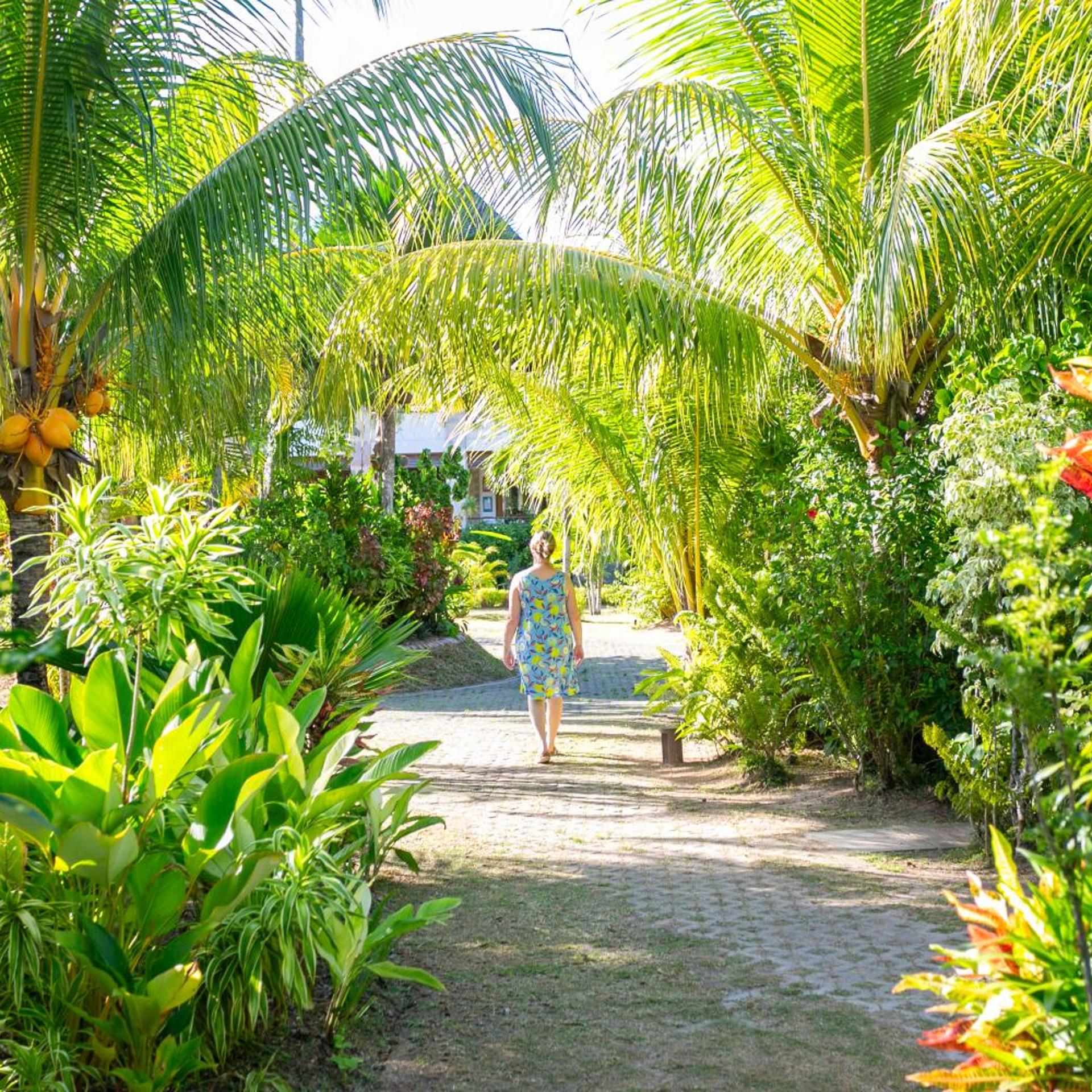 Les Lauriers Eco Hotel 40/50