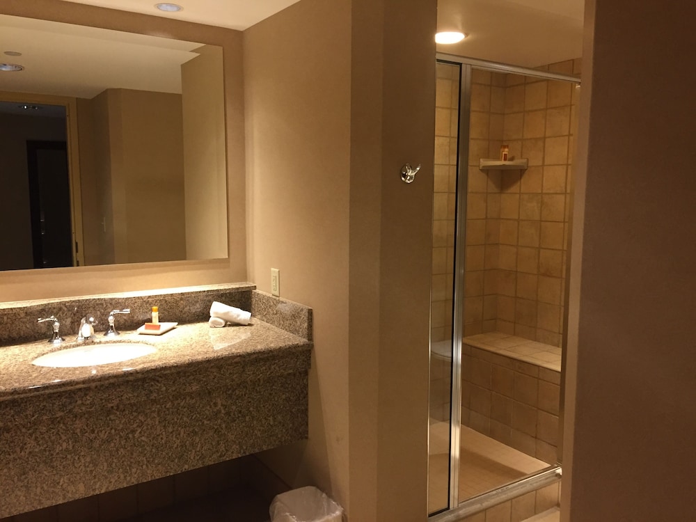 Isle Casino Hotel Waterloo - A Caesars Rewards Destination 20/52