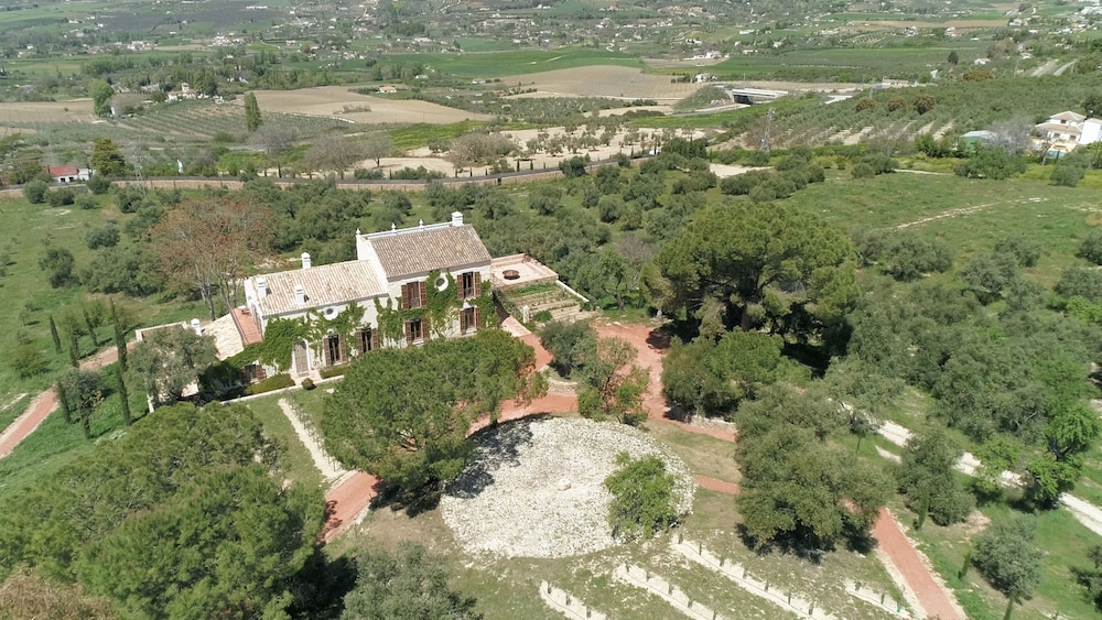 Cortijo LA Organic 31/48