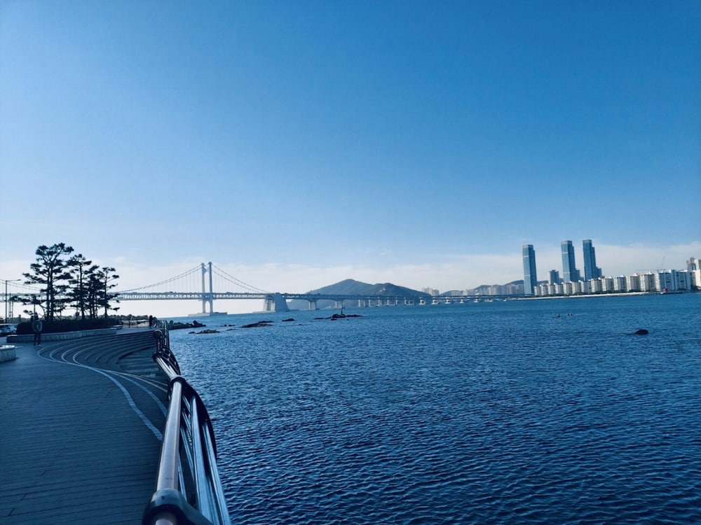 Primavera in BUSAN 61/68