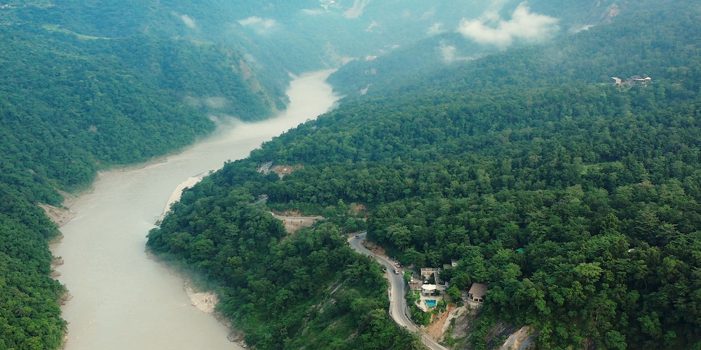 Atali, Ganga 41/50