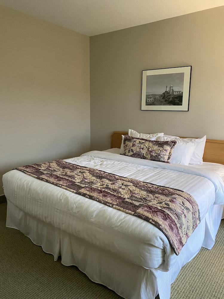 Ocean View Hotel 11/50