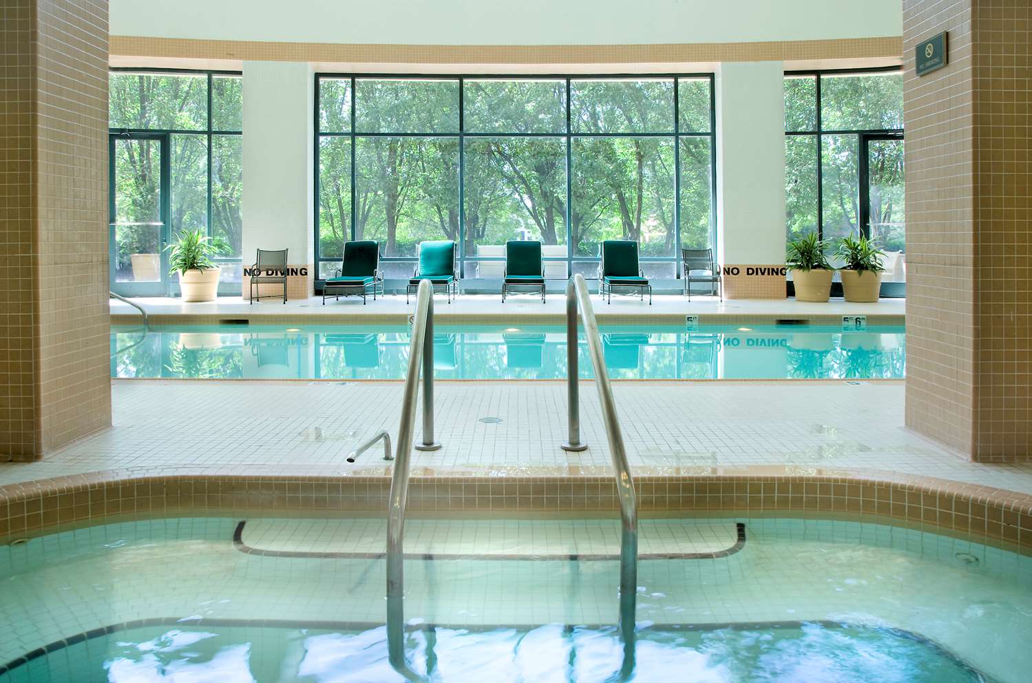 swimming pool spa