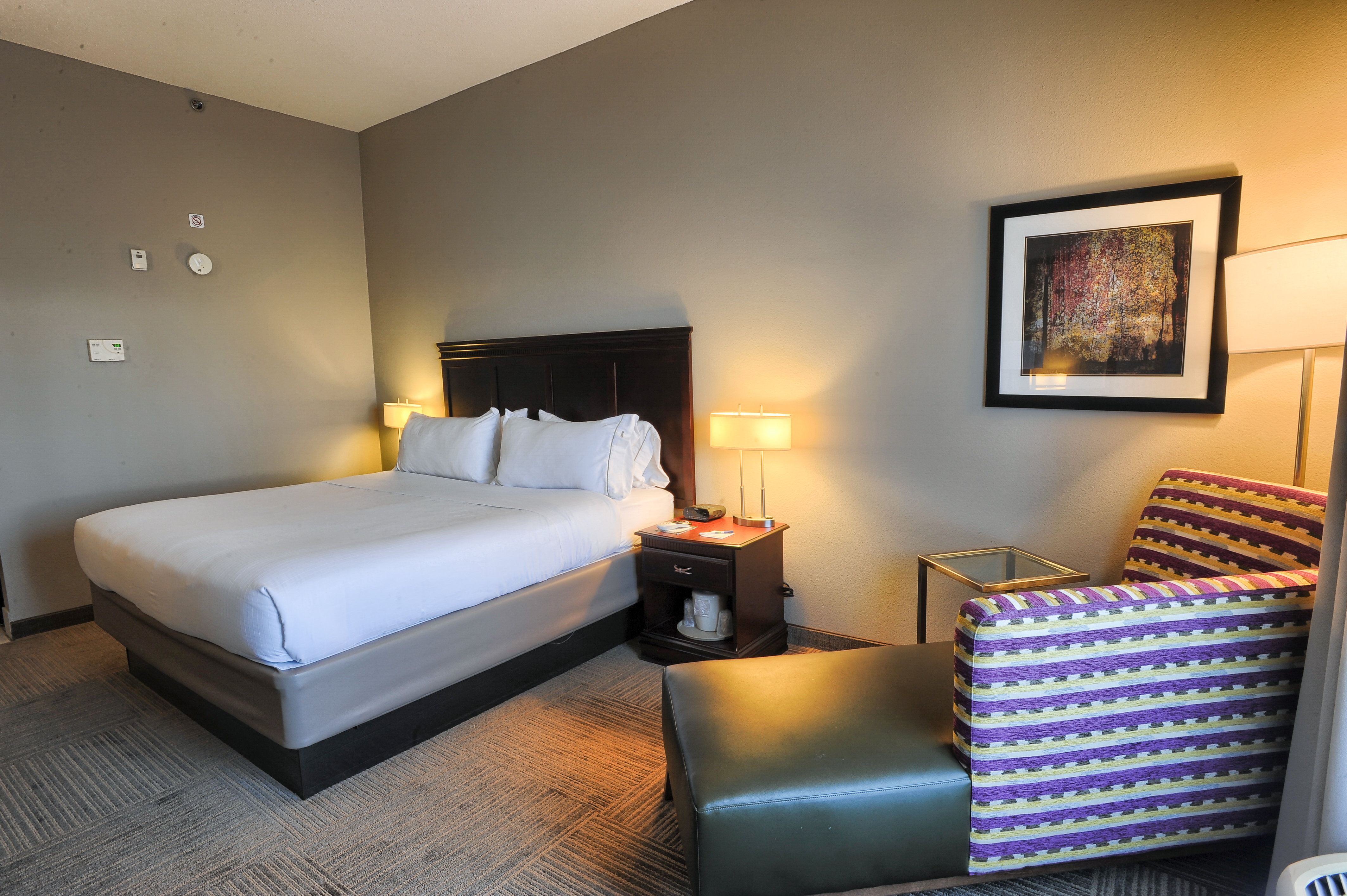 Holiday Inn Express Hotel Suites Pell City 28/71