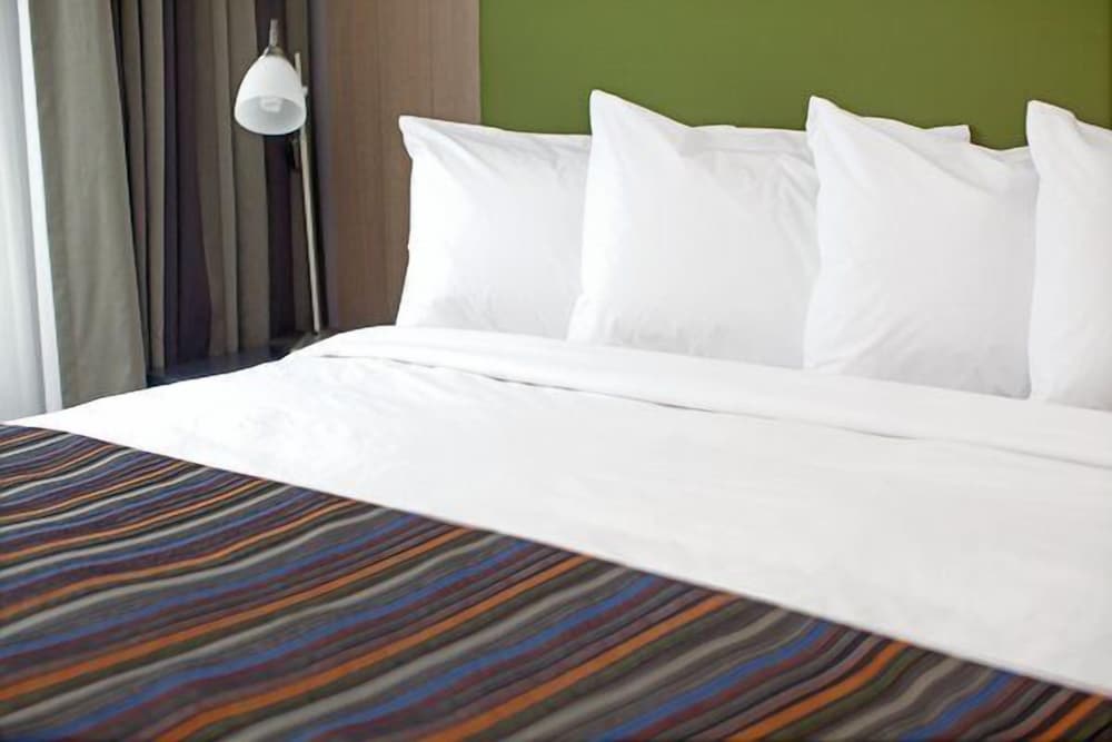 田纳西杰克逊乡村套房酒店(Country Inn & Suites By Radisson Jackson Tn) 图片2