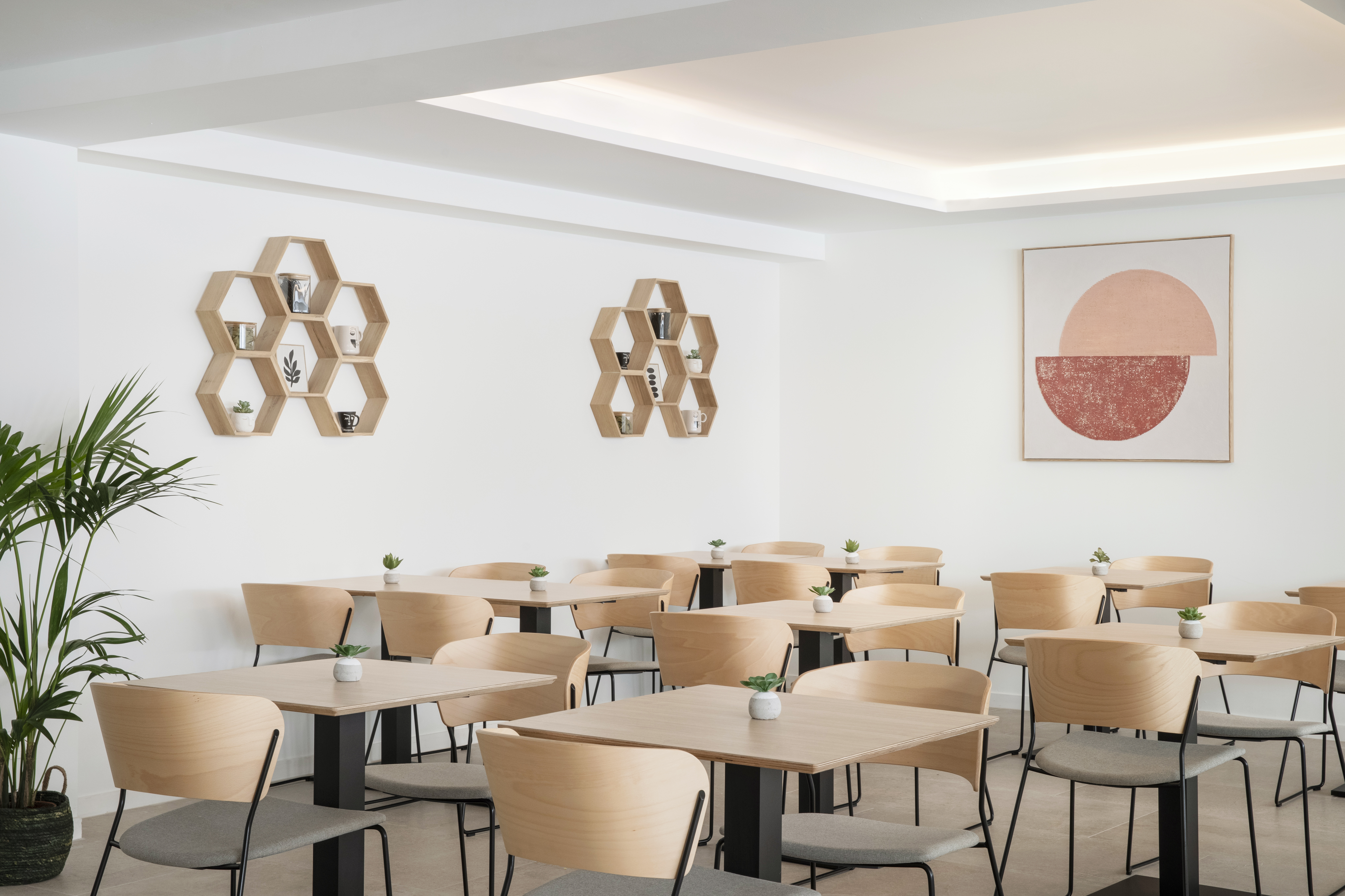 Aparthotel Marina Drach 15/19