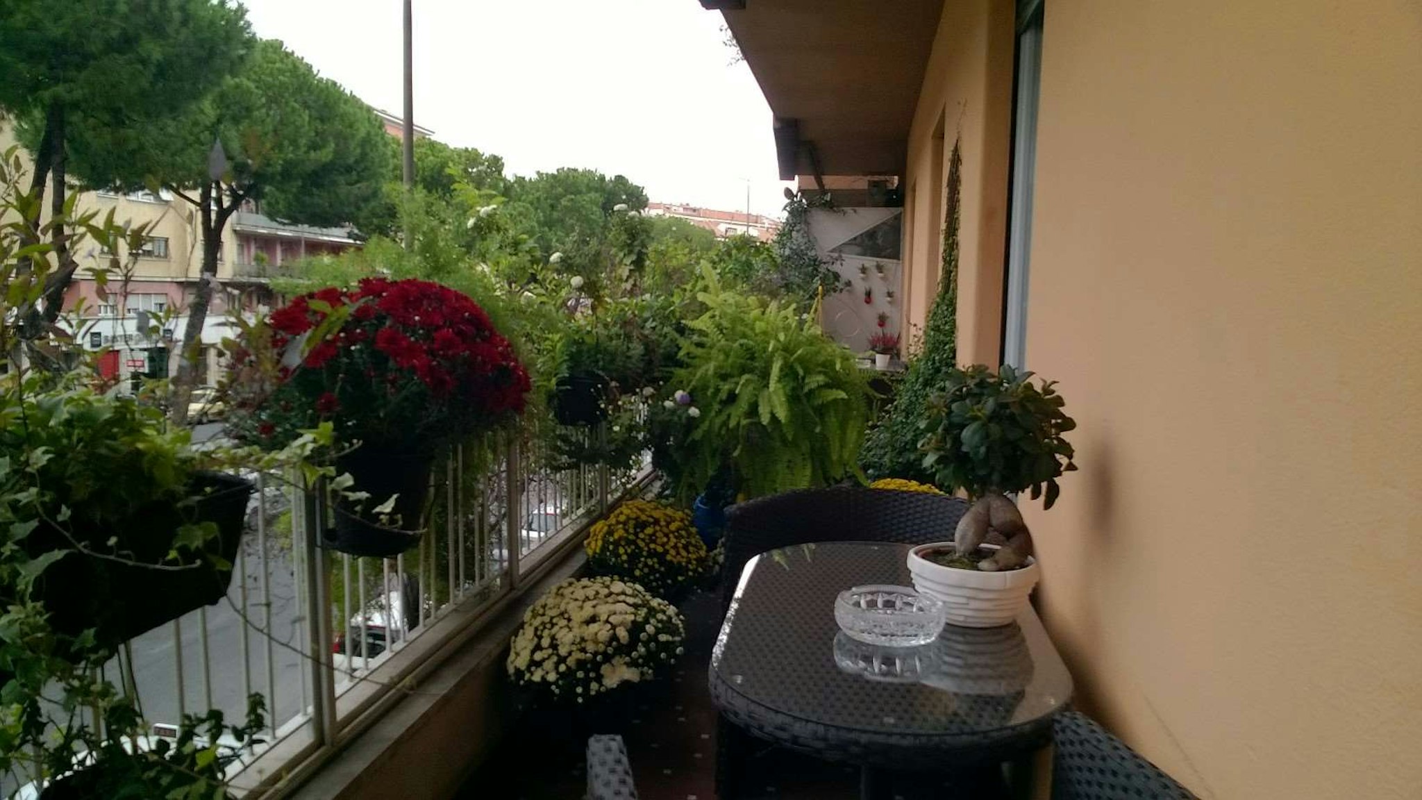 Gregorio Vii Luxury Suites 17/19