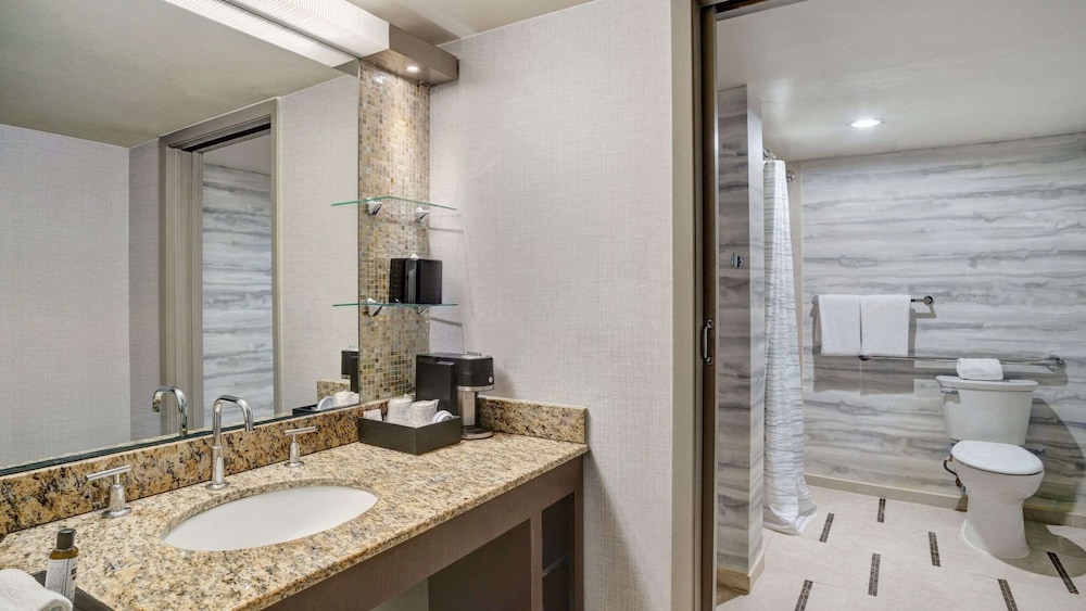 Hyatt Regency DFW International Airport 58/58
