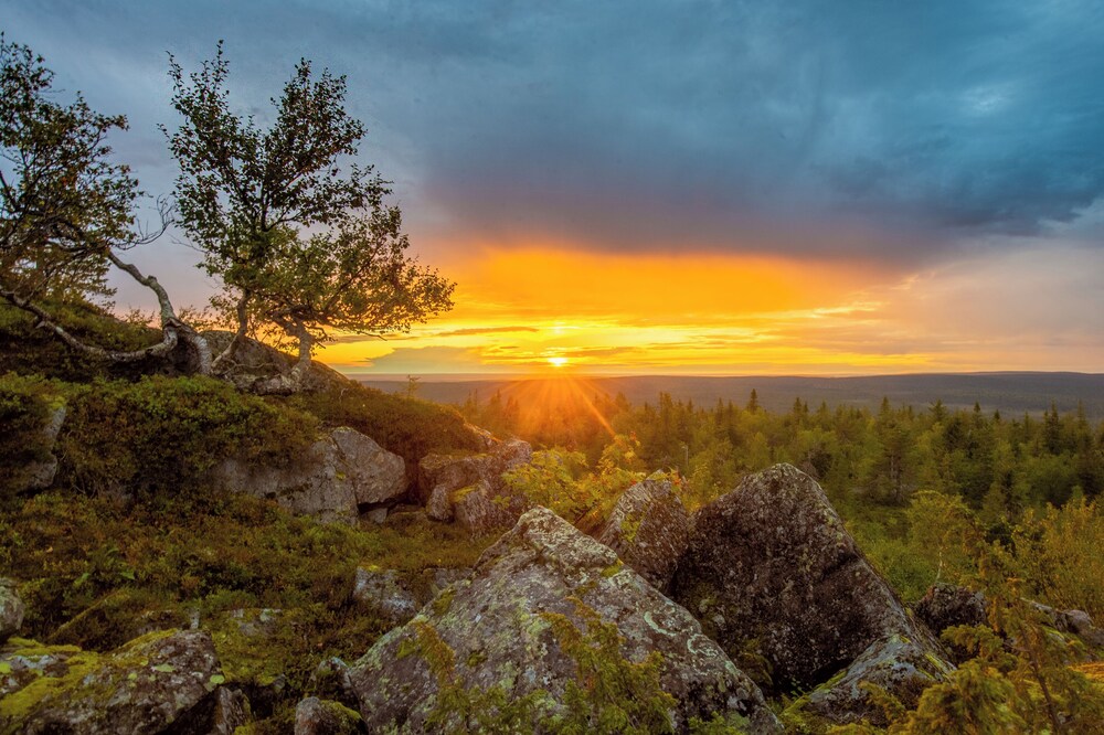 Hotel Pikku-Syote 40/50