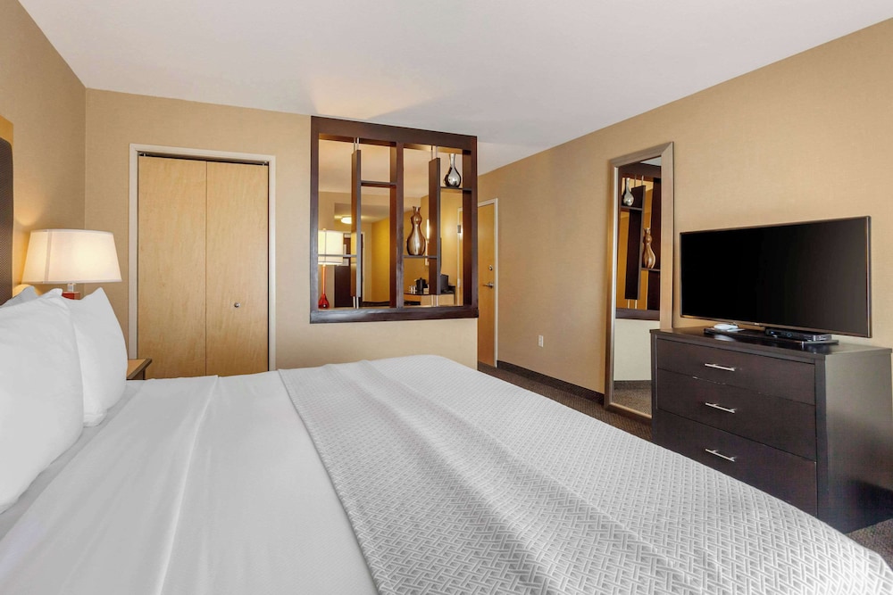 Suite, King Bed, Sofa, Accessible