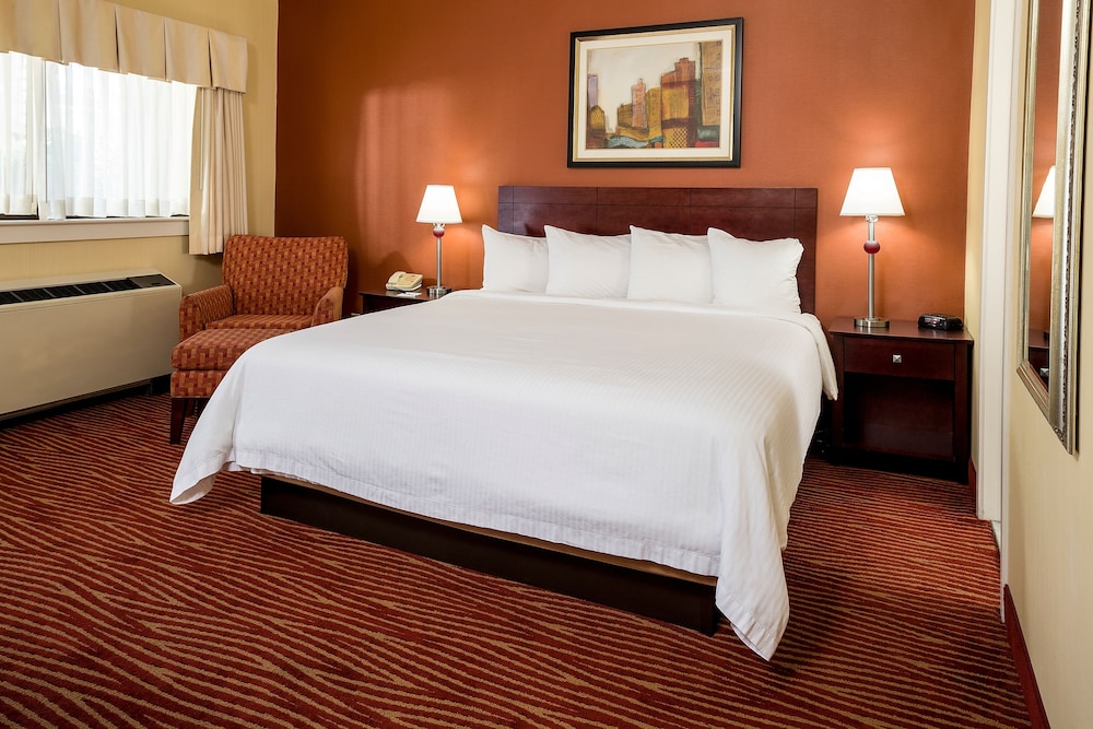 Hotel Boston 12/50