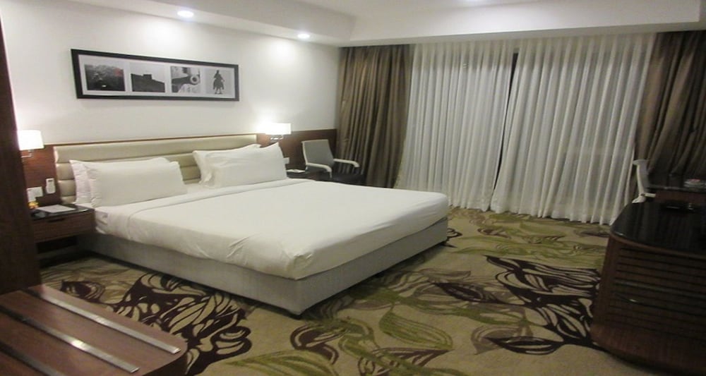Sayaji Hotel 13/36